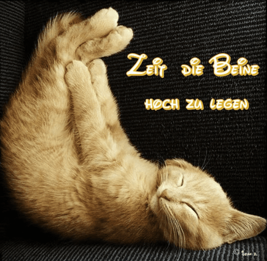 Kein Training